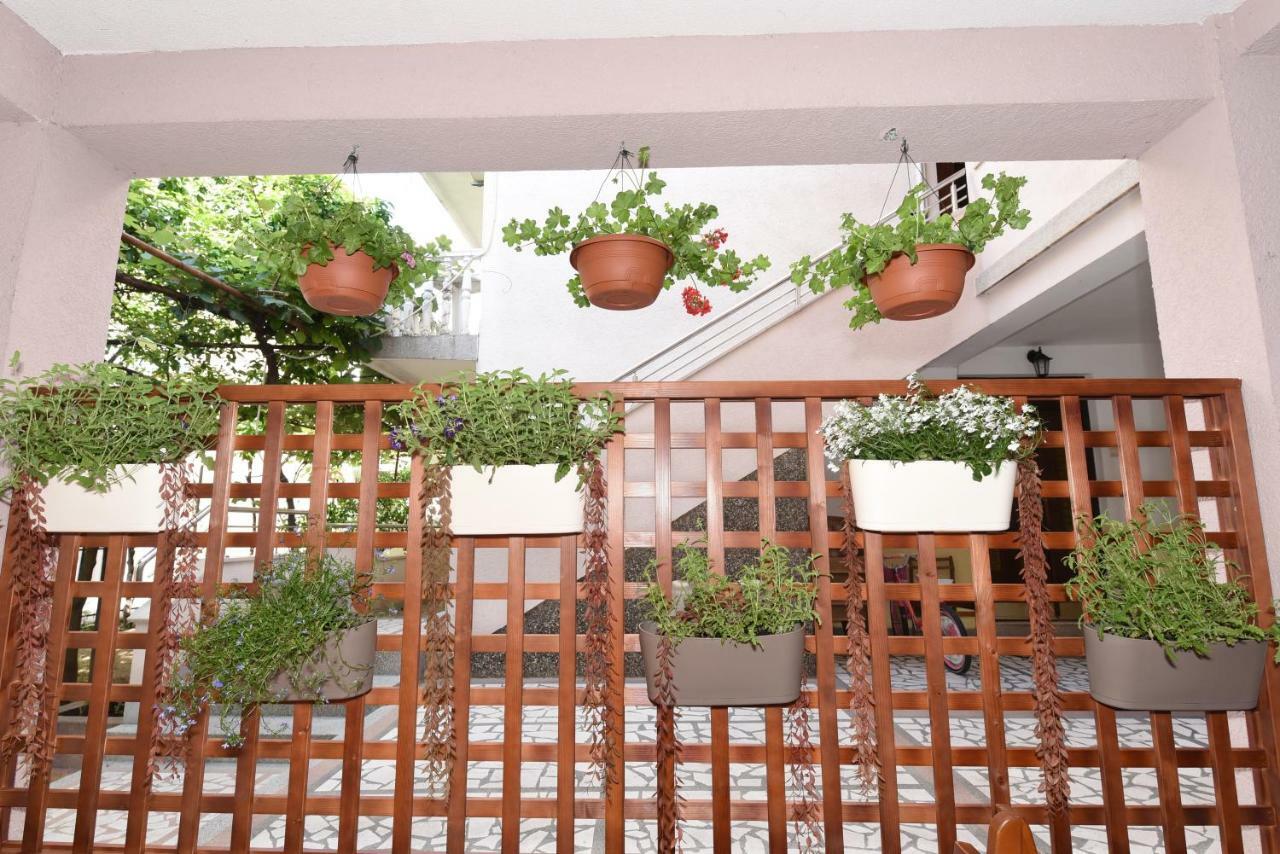 Guest House Zec 布德瓦 外观 照片