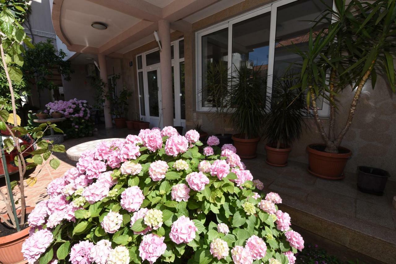 Guest House Zec 布德瓦 外观 照片